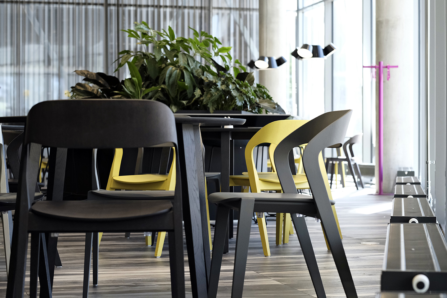 Moderne stoelen en tafels van Crassevig in een vergaderruimte