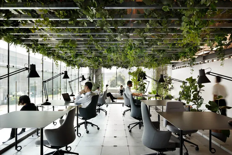 Biophilic design