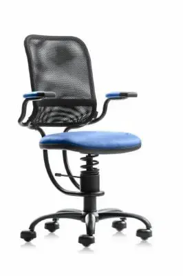 Ergonomic blue.webp
