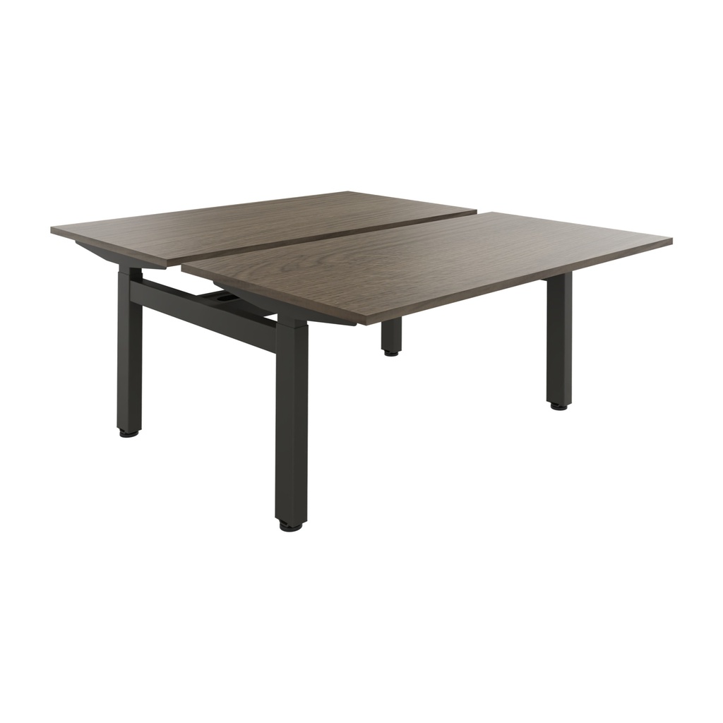 Huislijn Flexframe — duo zit-sta bureau 2 x 160 x 80 cm