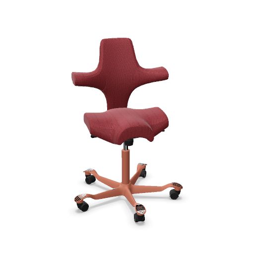 Hag Capisco 8106