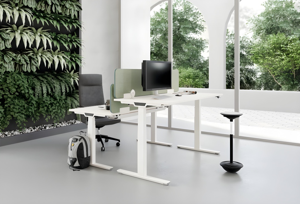 Palmberg Crew — Elektrisch zit-sta bureau