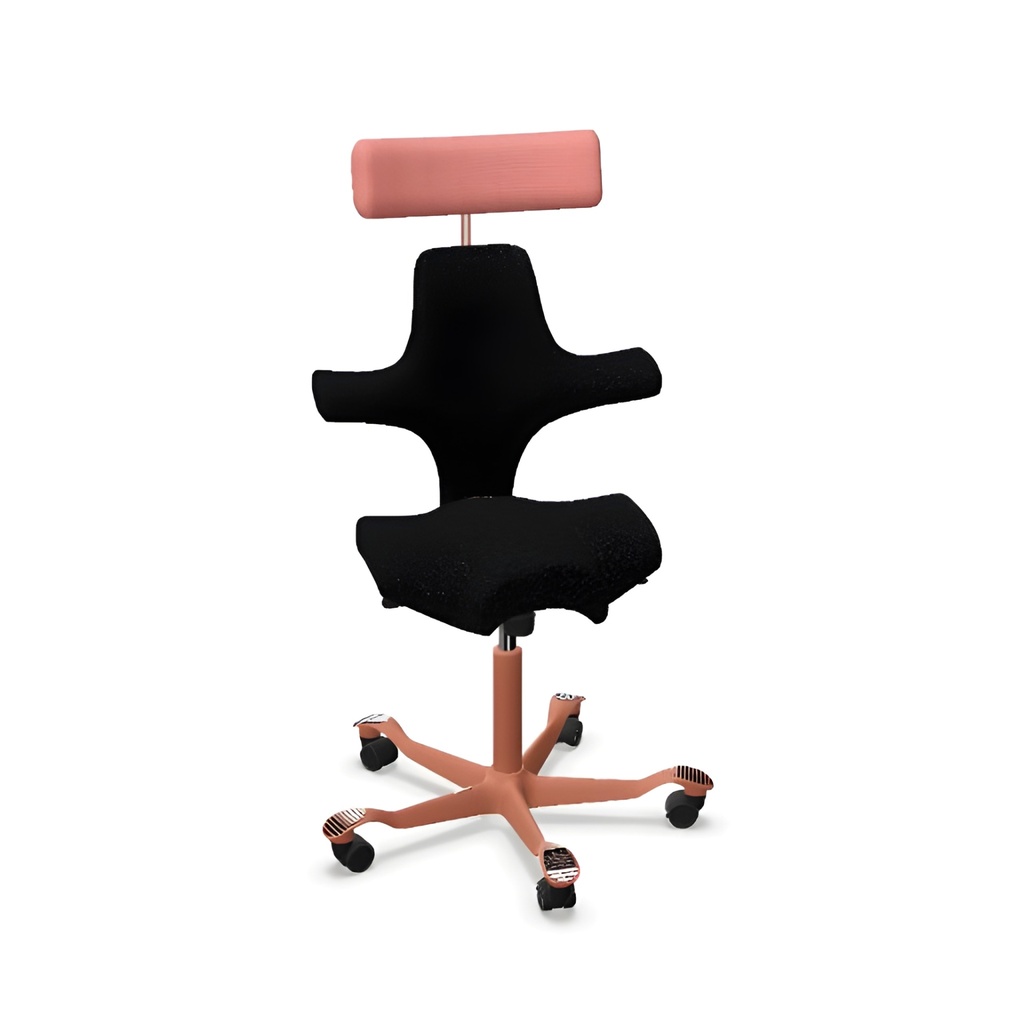 HAG Capisco 8107