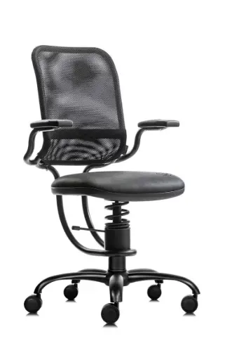 Spinalis Ergonomic bureaustoel