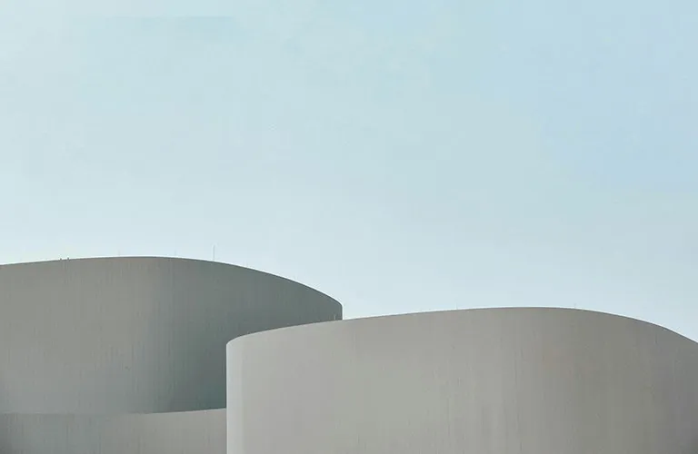 50 Europese topmerken